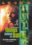 Things Behind the Sun film poster